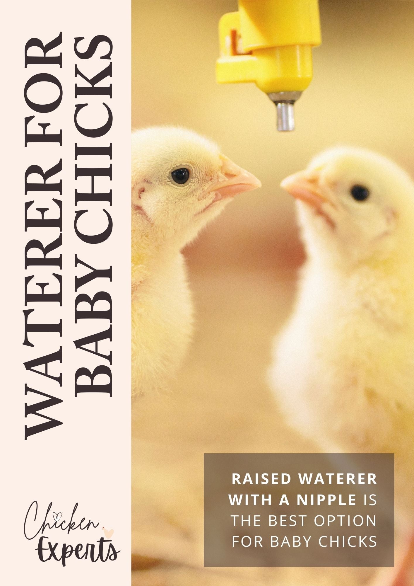 nipple waterer for baby chickens