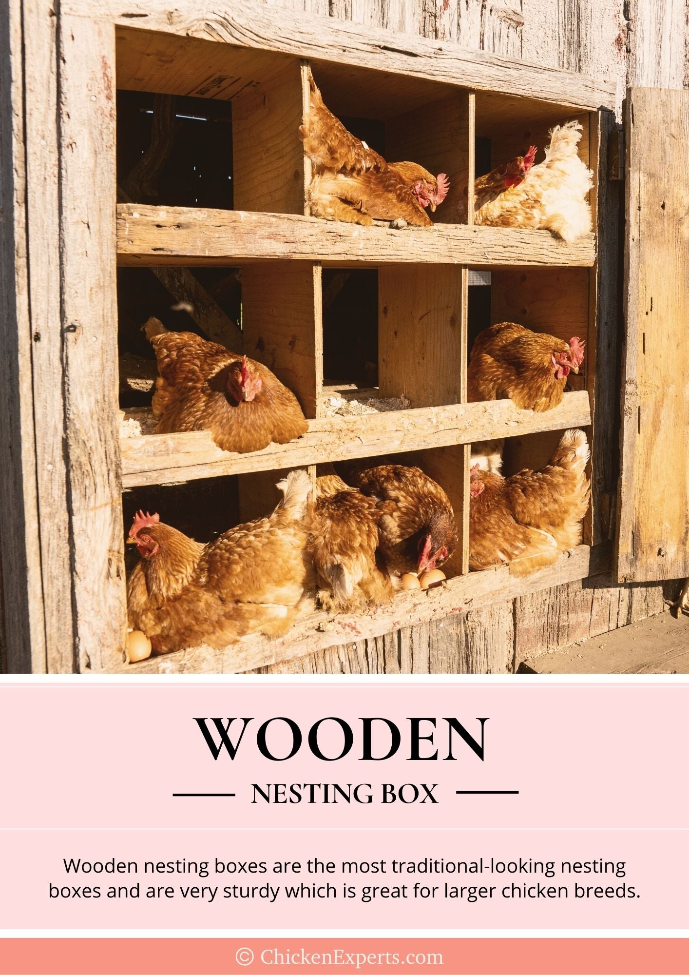 wooden nesting box