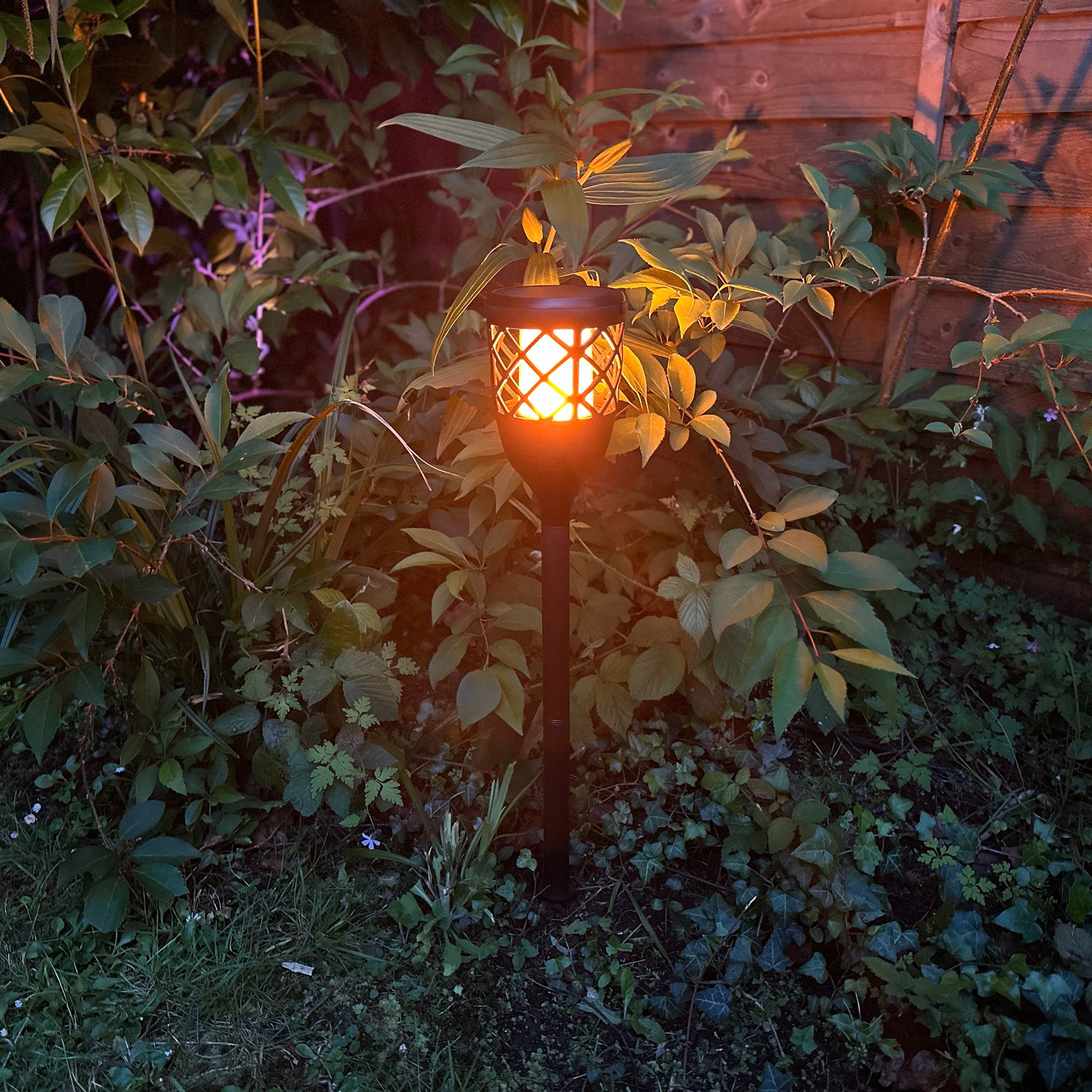 Solar_Torch_Light_Lifestyle_real_small_-_1x1_892924c4-97c7-4d24-8b85-72c389fb3611