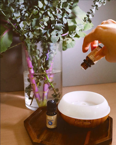A person putting essential oils in a diffuser with a plant behind them to show how essential oils work