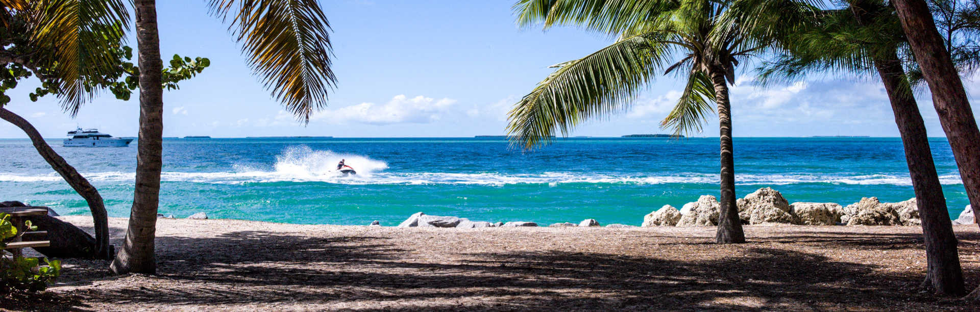 Cool Banner - Ausblick auf den Strand mit Palmen und dem Meer