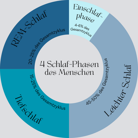 Die vier Schlafphasen eines Menschen