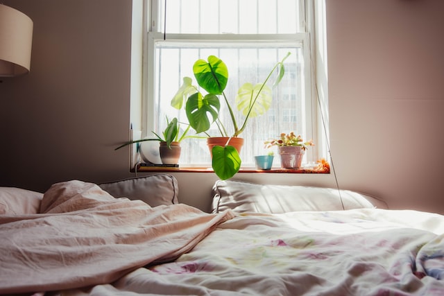 Pflanzen im Schlafzimmer