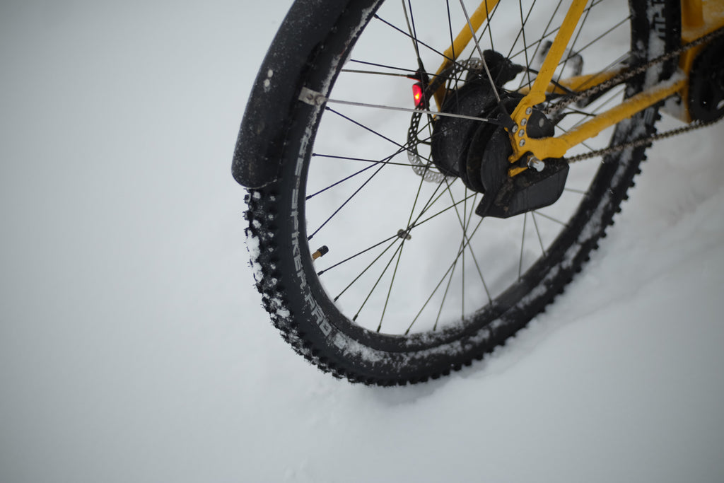 Hagen Winter Cargo Bike Studded Tire Closeup