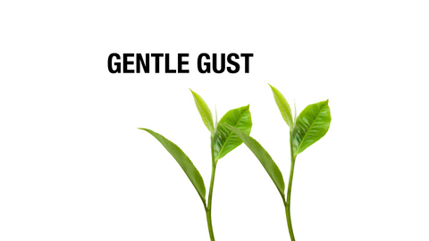 gentle gust essential oil scented natural soap