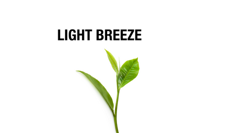 Light breeze essential oil scented natural soap