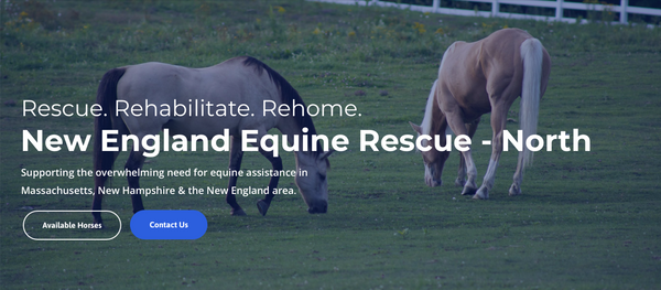 New England Equine Rescue - North