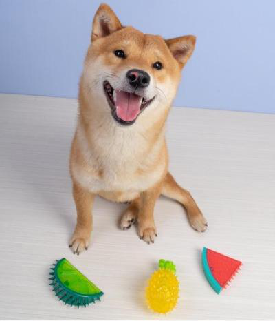 Durable Fruits Shaped Giggle Dog Chew Toy