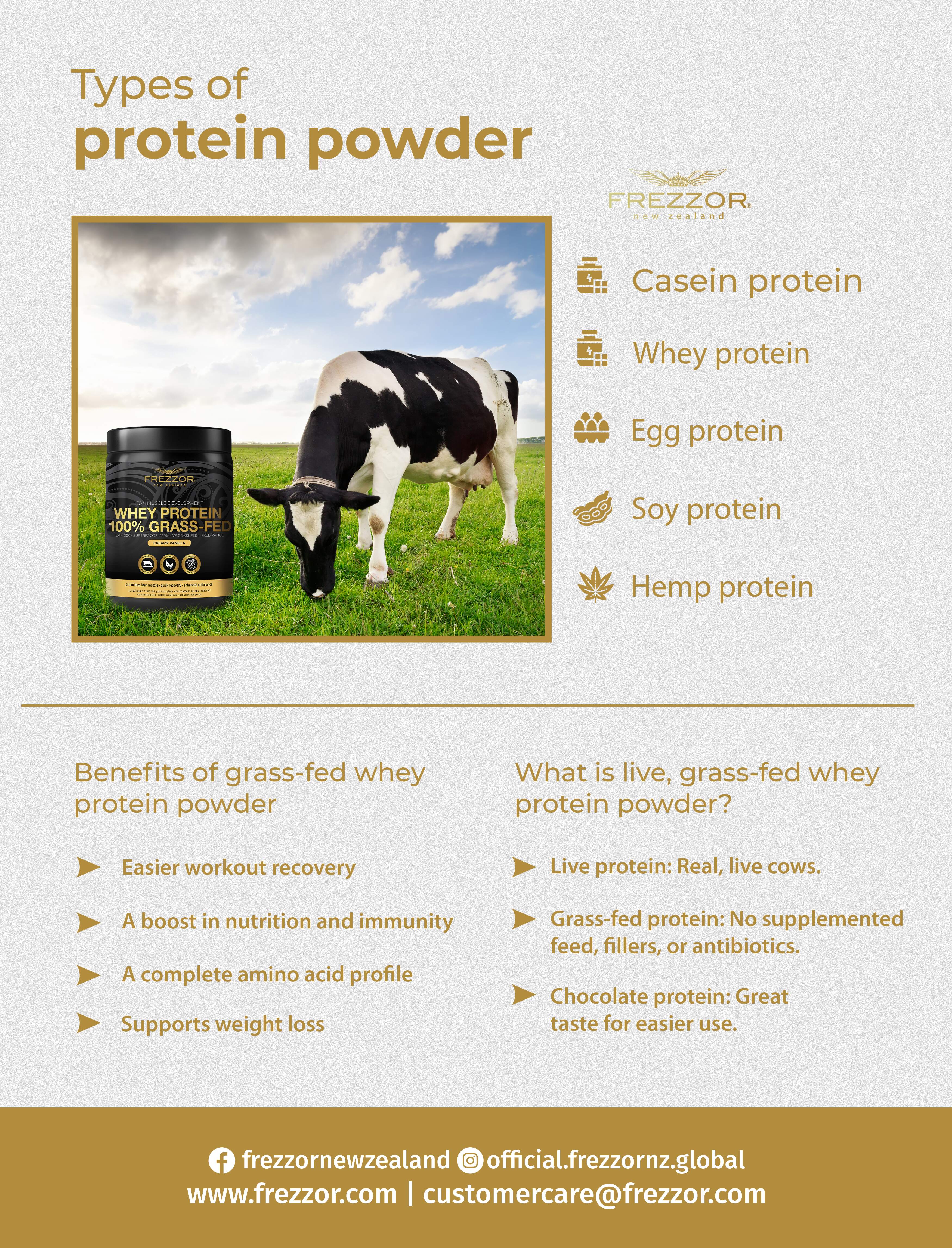  Guide for Whey Protein Powder infographics
