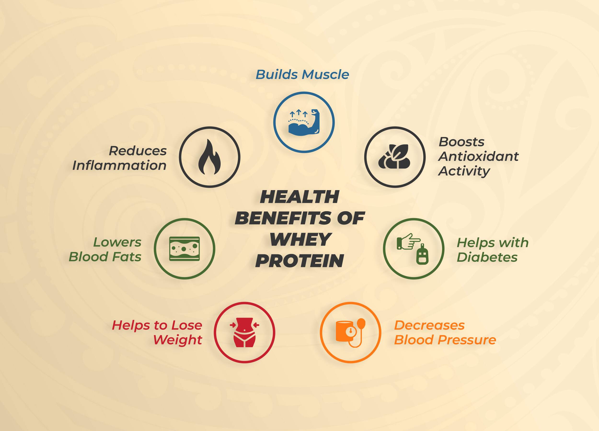 Health Benefits Of Whey Protein infographics