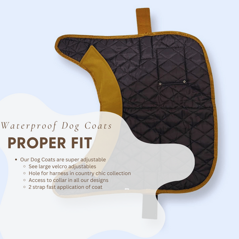 Best fitting dog coats have these key features