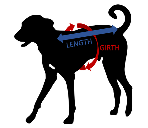 Diagram Showing How To Measure Your Dog