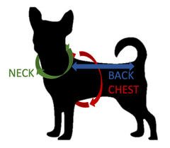 Measurement Guide - Chihuahua