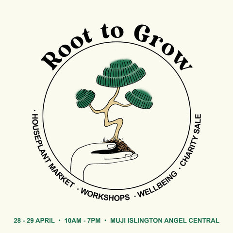 root to grow square poster