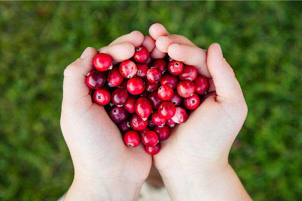 cranberry hands