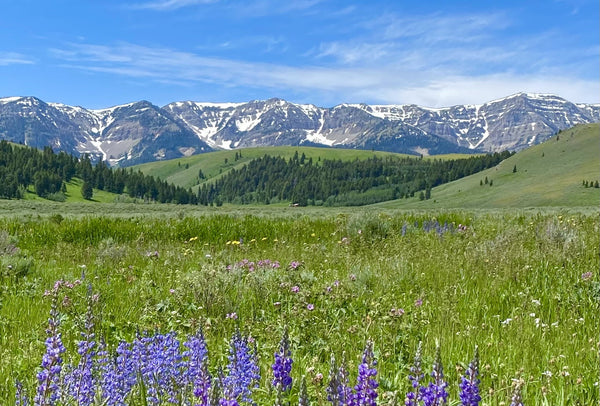 Centennial Valley, montana