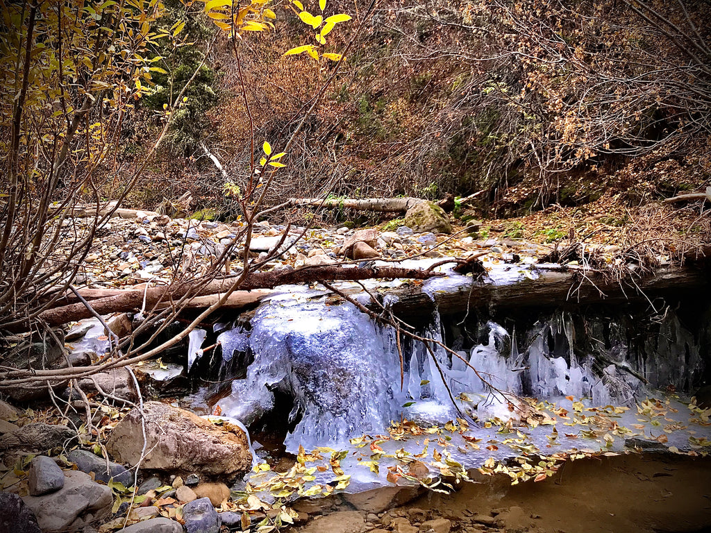 Early Winter