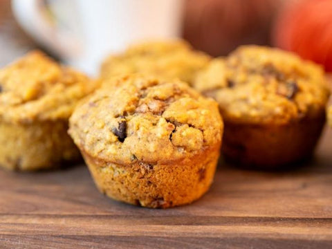 pumpkin chocolate chip muffin