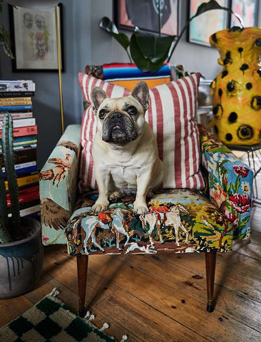 At Home with Henry Holland - Liberty London