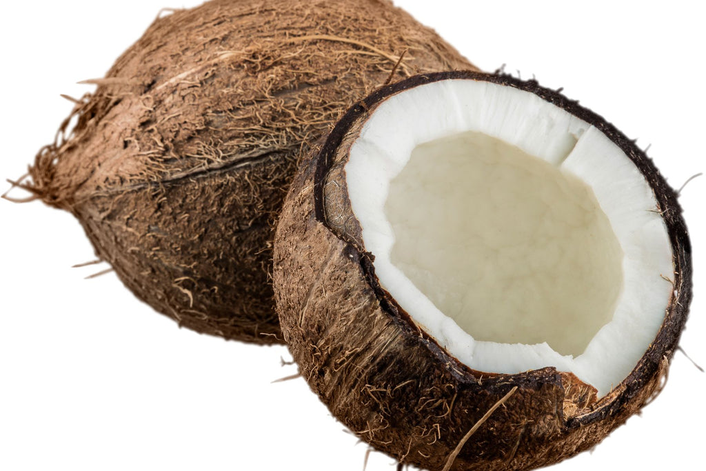 coconut