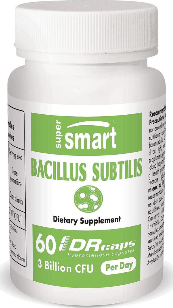 Lactobacillus Rhamnosus GG 10 Billion CFU per Day | Non-GMO & Gluten Free |  Probiotic Supplement | 60 DR Capsules - SuperSmart