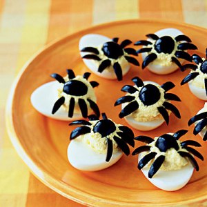 spider-eggs-l