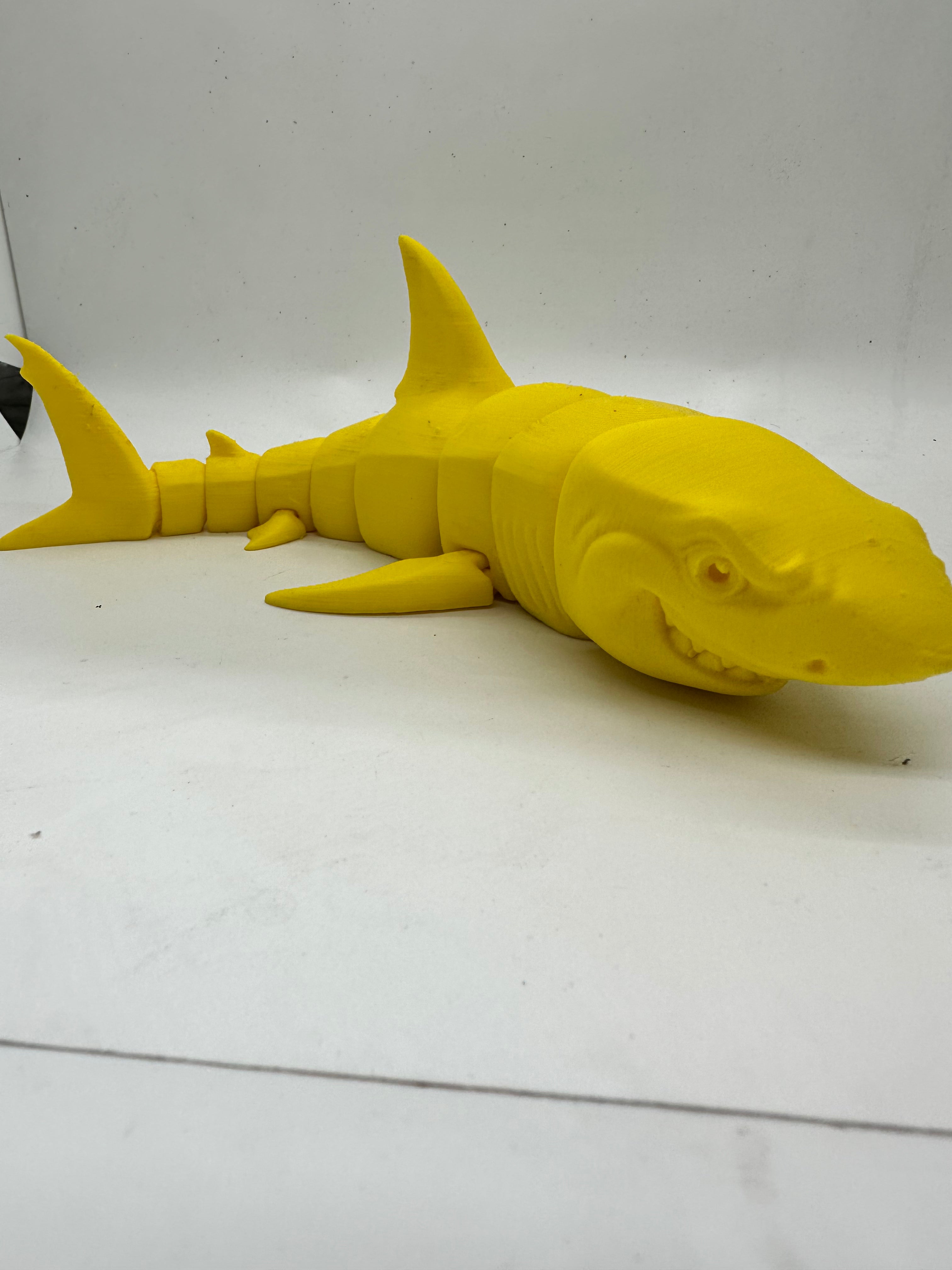 Great White Shark
