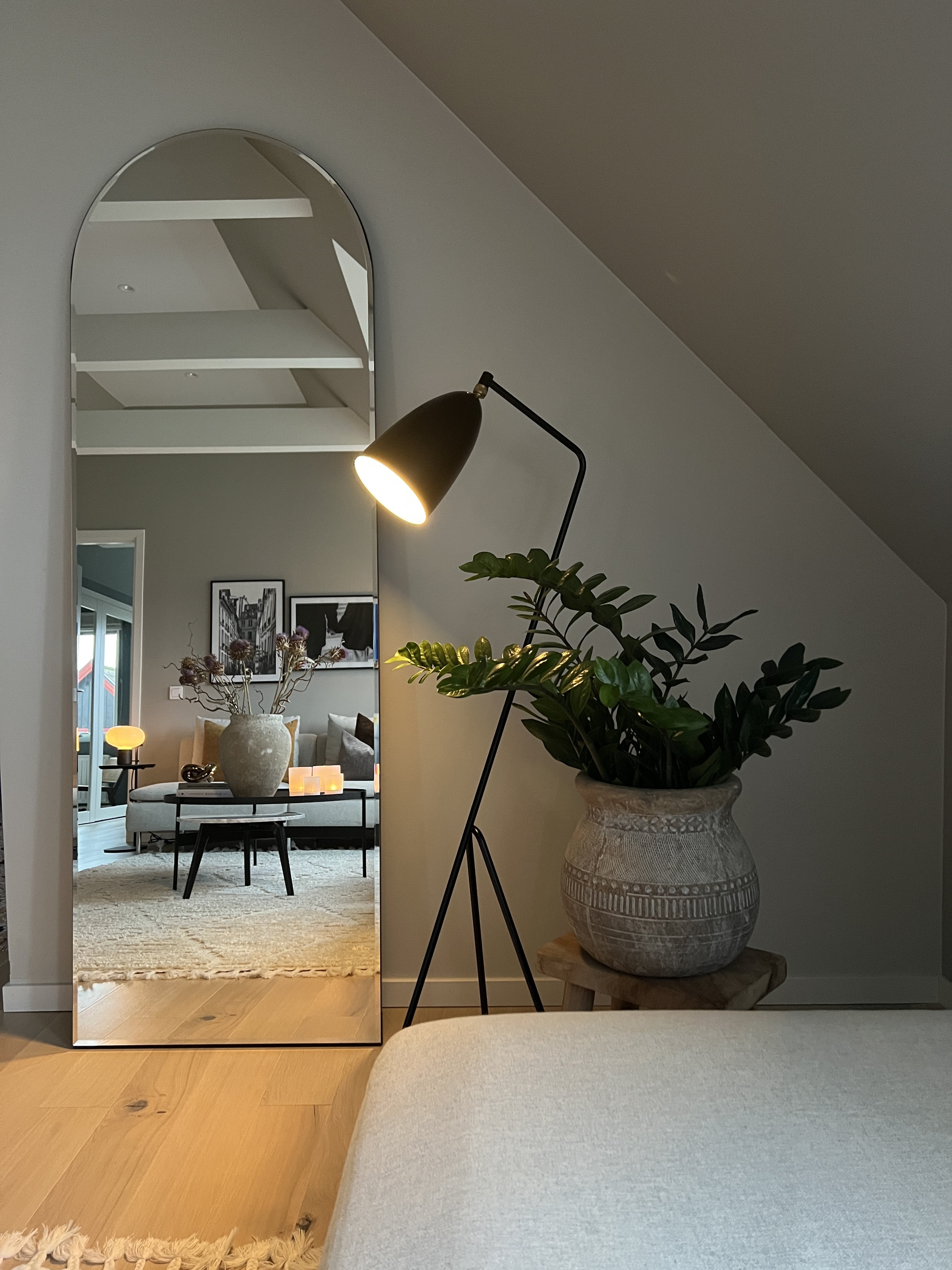 Stylish interior with arched mirror, floor lamp, and potted plant.