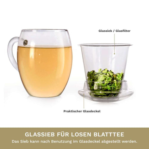 Teeglas All in one mit Glasfilter