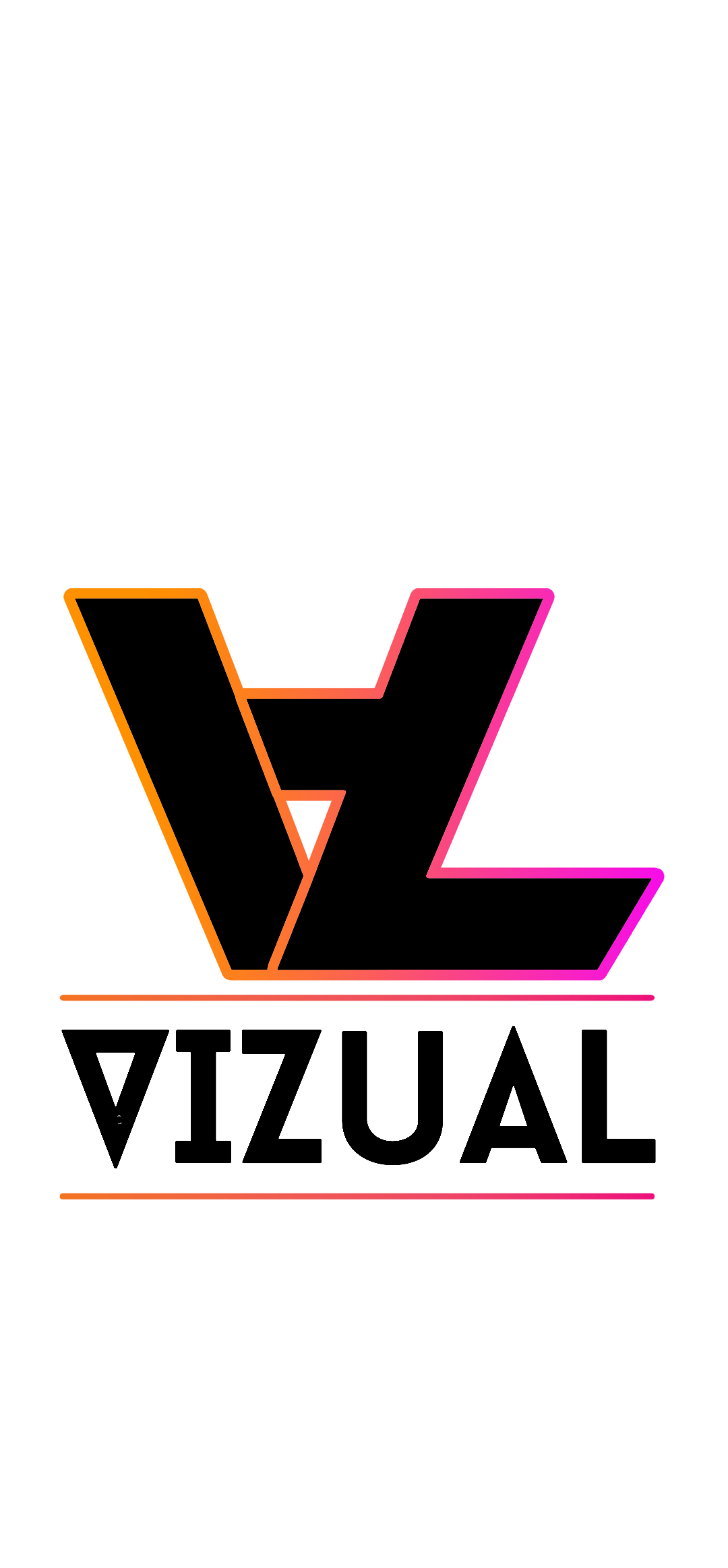 Vizual523