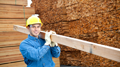 Exploring Wood Bunk Boards