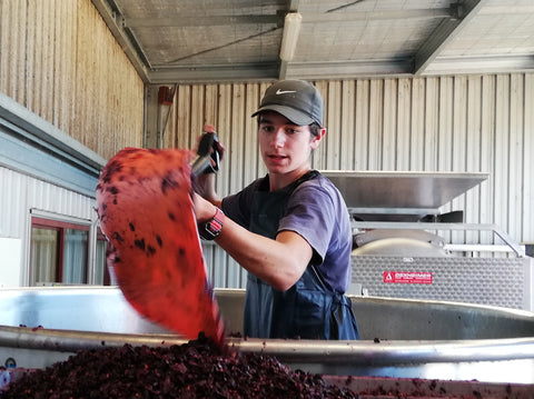 Thomas Schwarzenbach at Blackenbrook Vineyard, Nelson, New Zealand