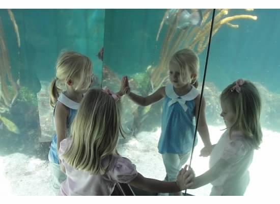 My kids at the Bermuda Aquarium in early 2010