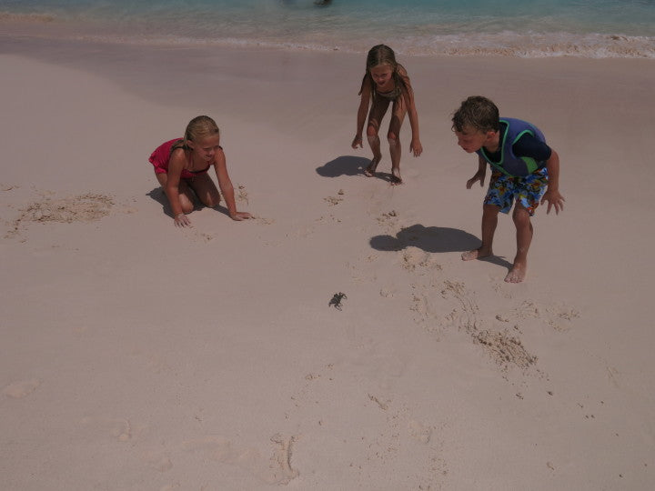 Old fashioned fun!  Chasing crabs on the beach in Bermuda!