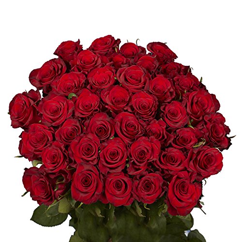 Red Roses- 50 Fresh Cut Flowers- Beautiful Gift