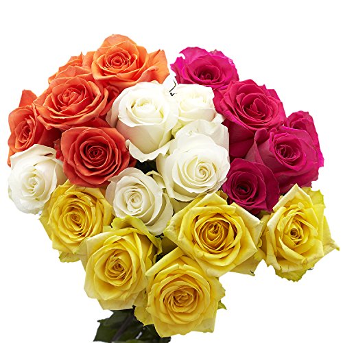 Red Roses- Beautiful Gift- 100 Fresh Flowers