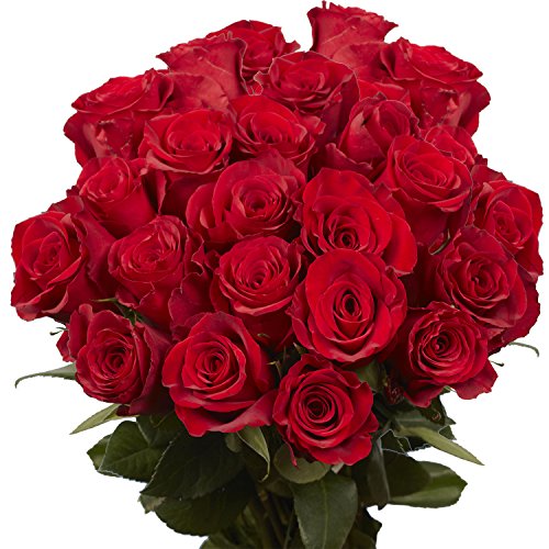 Fresh Flowers- 50 Red Roses - Beautiful Gift- Guaranteed Next Day Delivery - NbuFlowers