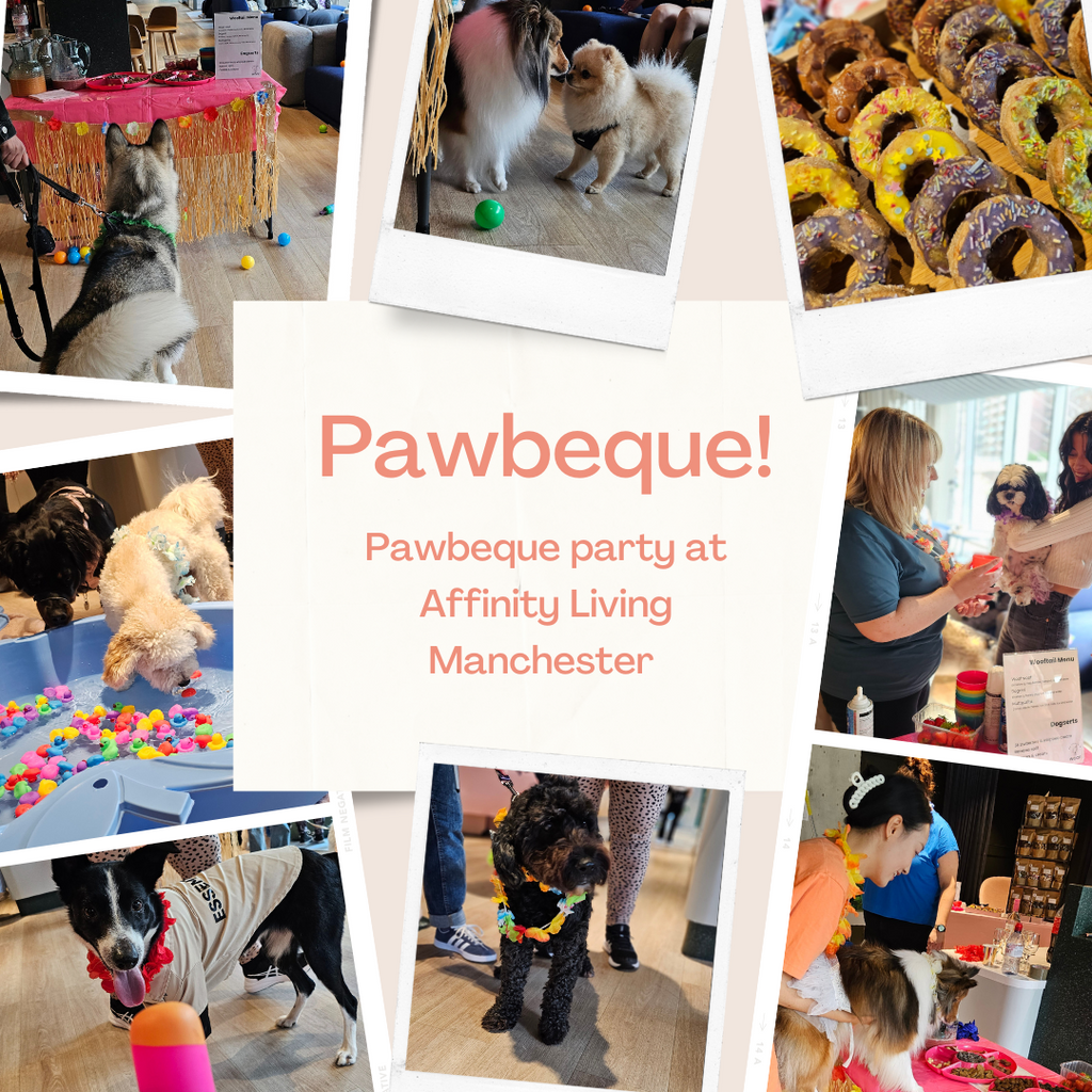 A collage of photographs of dogs and dog owners enjoying treats and games at a party event.