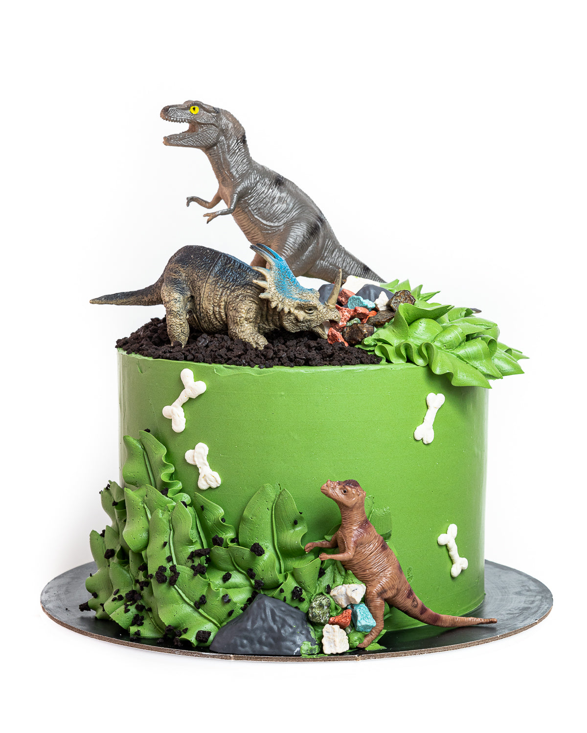 Dinosaurs Birthday Cake Flecks Cakes