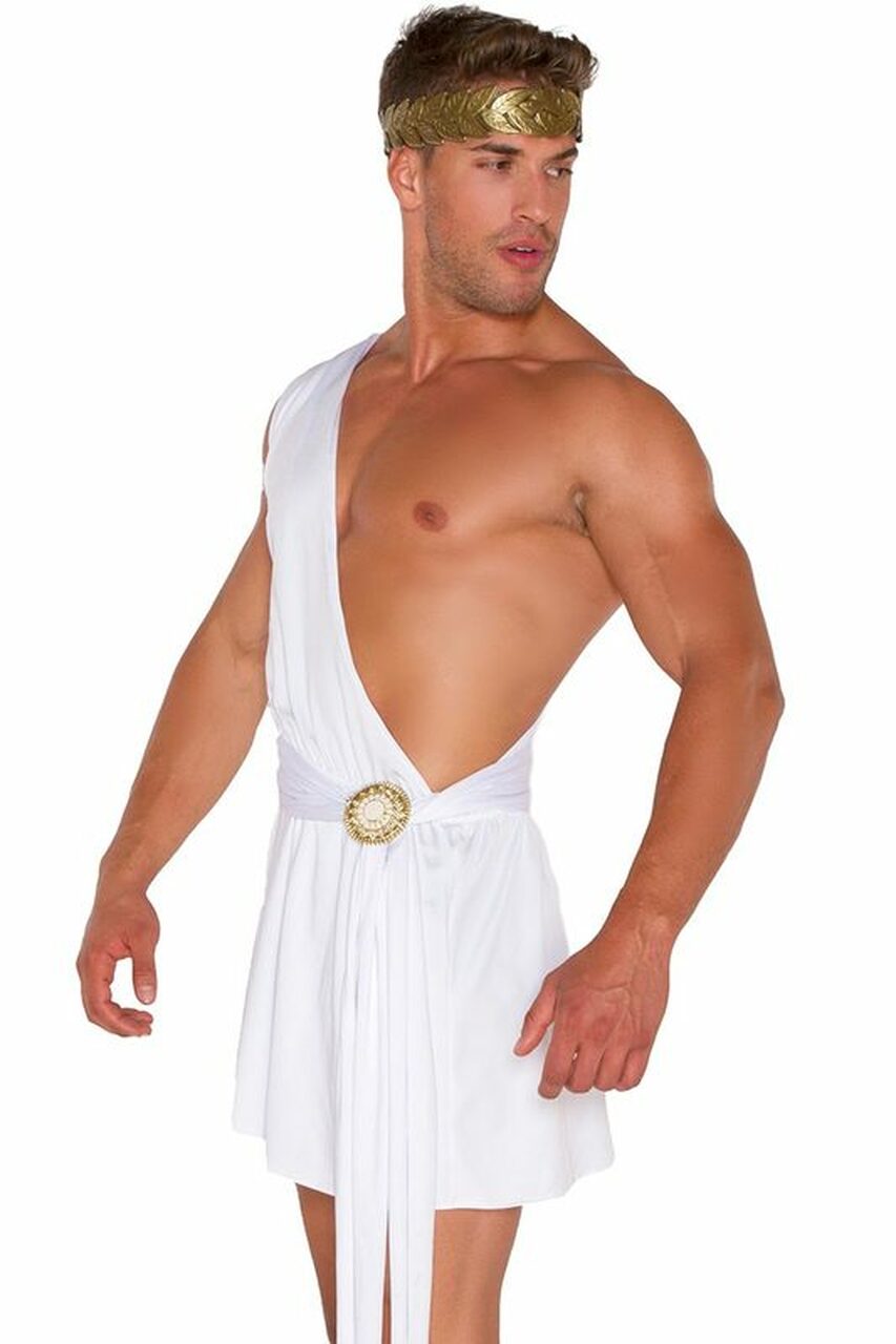 Greek God Toga Adult Costume | lupon.gov.ph