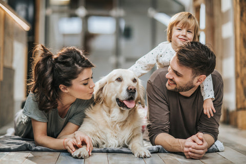 Familei und Hund Staubsaugen