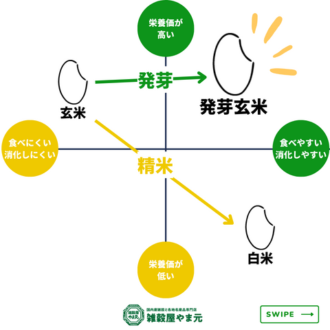 発芽玄米とは│雑穀屋やま元