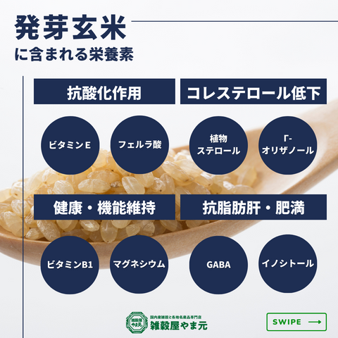 発芽玄米に含まれる栄養素と効果│雑穀屋やま元
