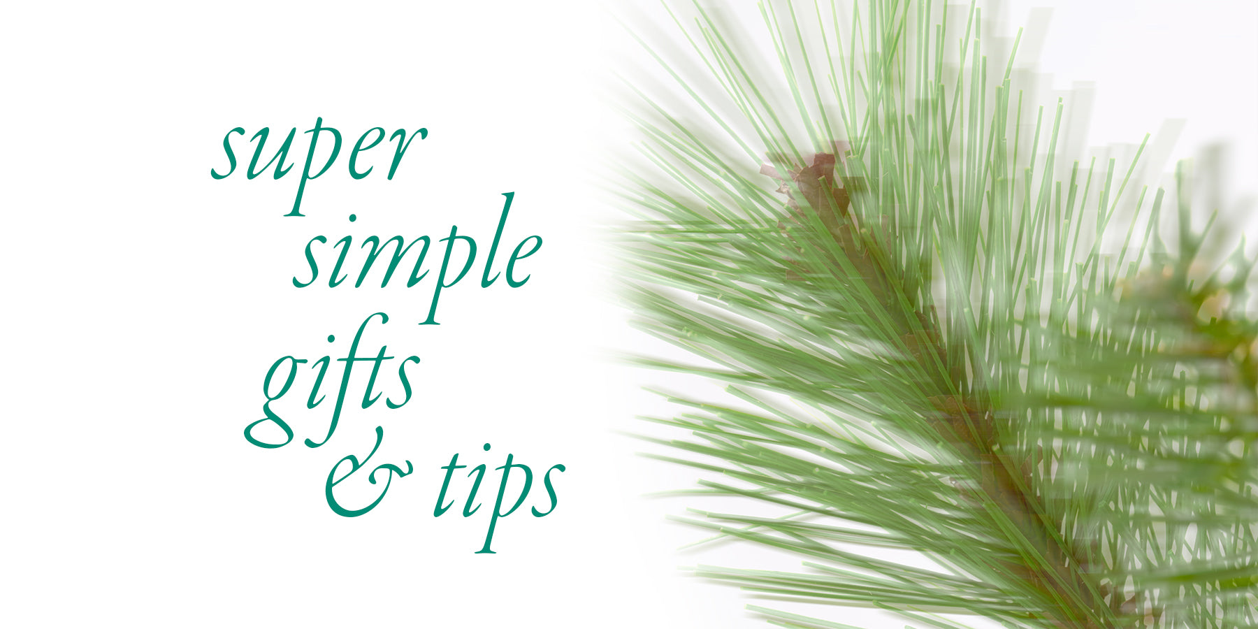 Super Simple Gifts and Tips for the Holidays