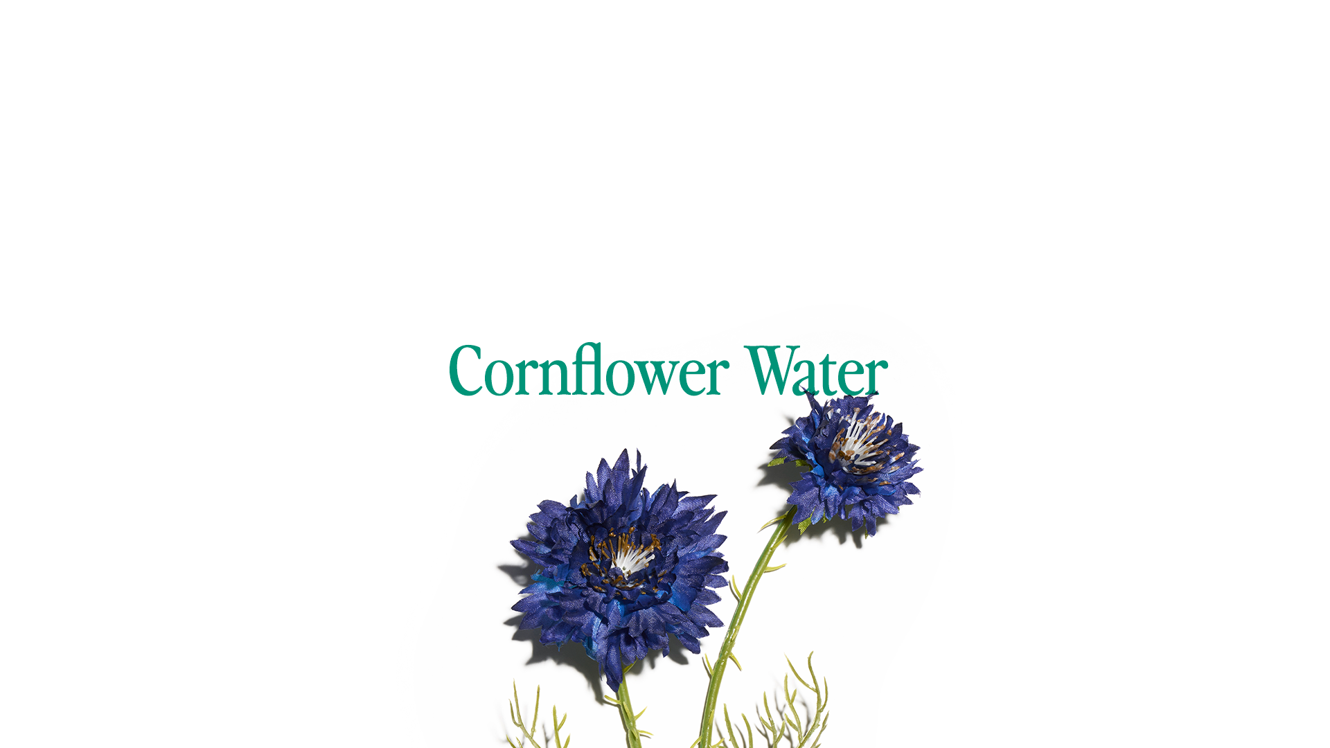 Ingredient Spotlight - Cornflower Water