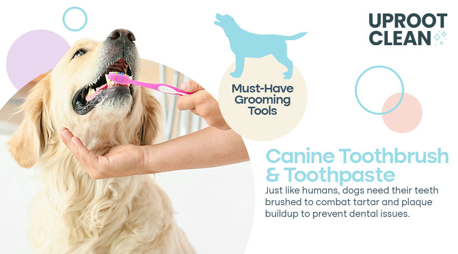 Canine Toothbrush and Toothpaste