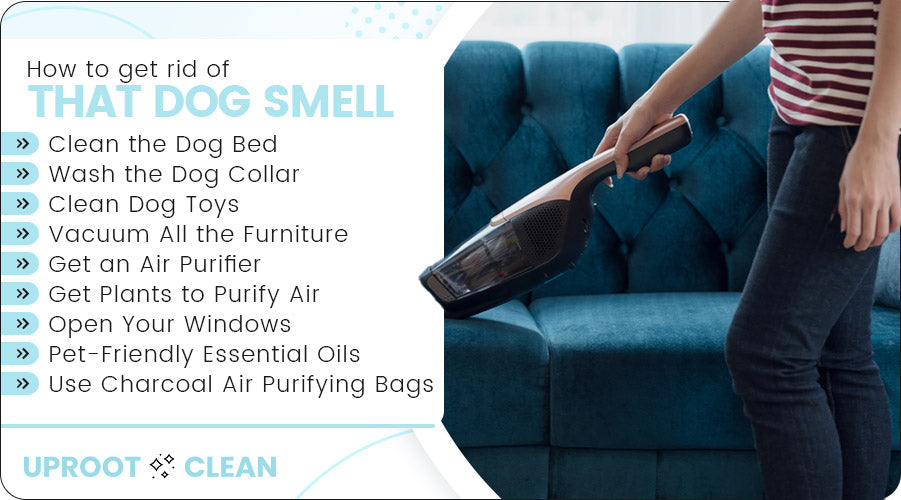 Came home to my wife having removed all the fluff from our couch pillow to  clean the dog smell. Any ideas how to do this easier? : r/CleaningTips