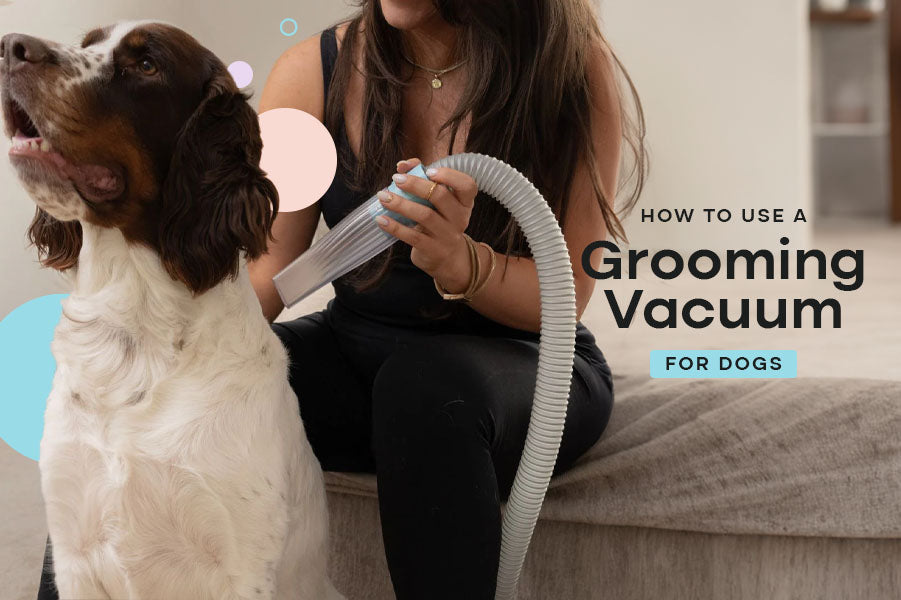 How to Use a Grooming Vacuum for Dogs