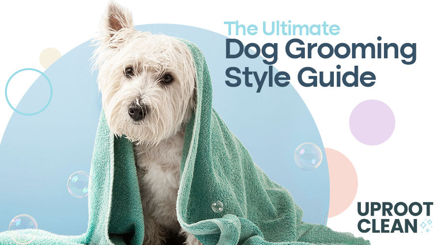 The Ultimate Dog Grooming Style Guide