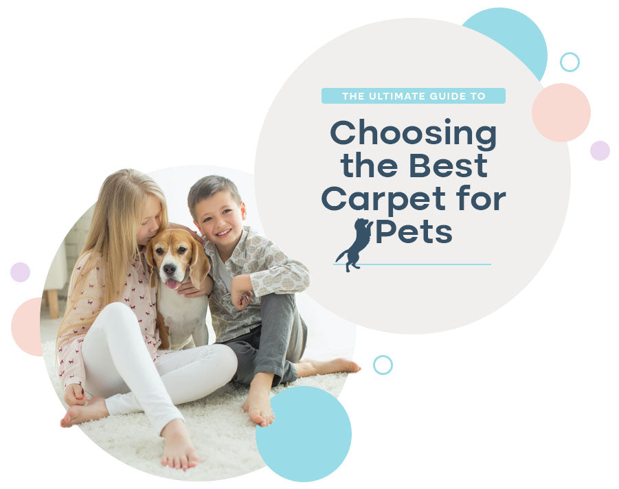 7 tips on choosing and caring for rugs when you have pets - The